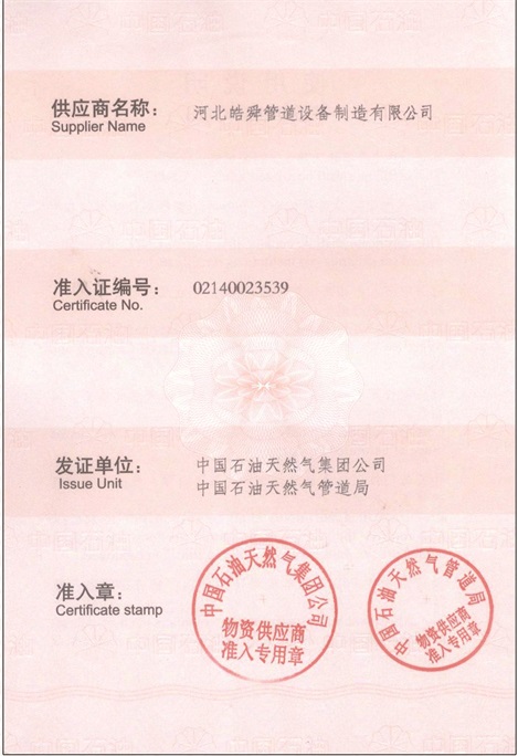 皜舜資質11