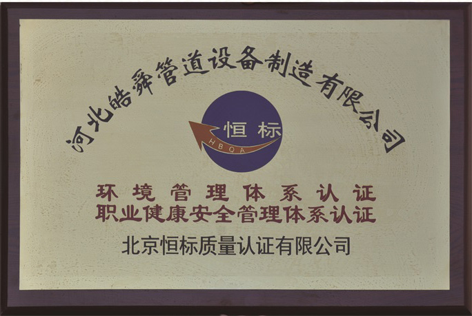 皜舜資質35